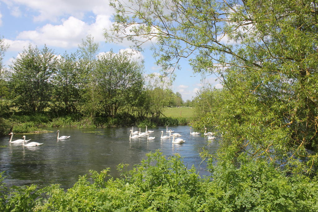 Hotel The Swan At Stoford Stapleford  Exterior foto